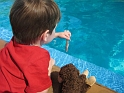 SeaWorld (18)
